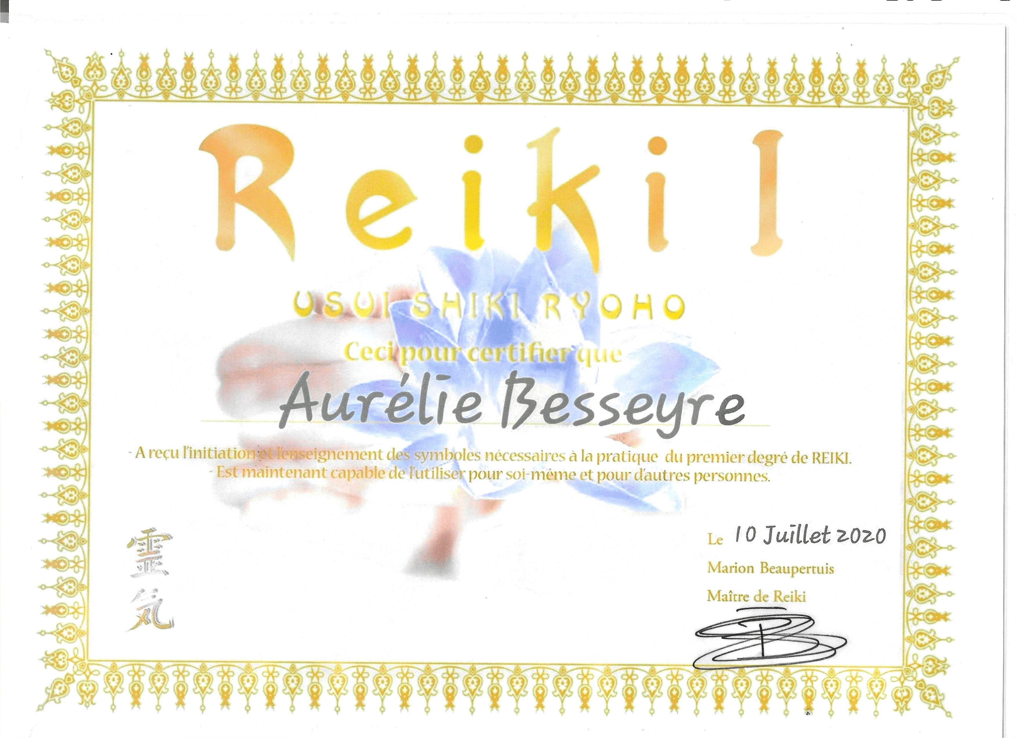 Reiki niveau 1